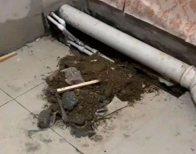 东兰卫生间漏水检测哪家好