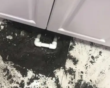 东兰查漏水哪家好