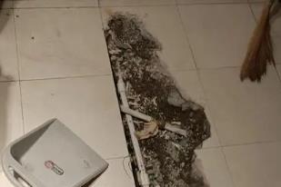 东兰卫生间漏水检测电话